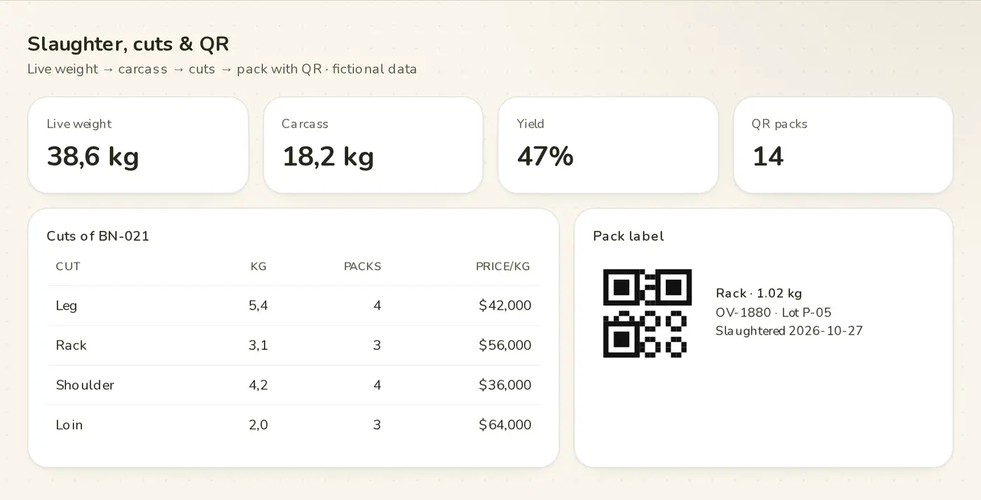 Slaughter with cuts and QR label · Campo Íntegro demo (fictional brand and data)